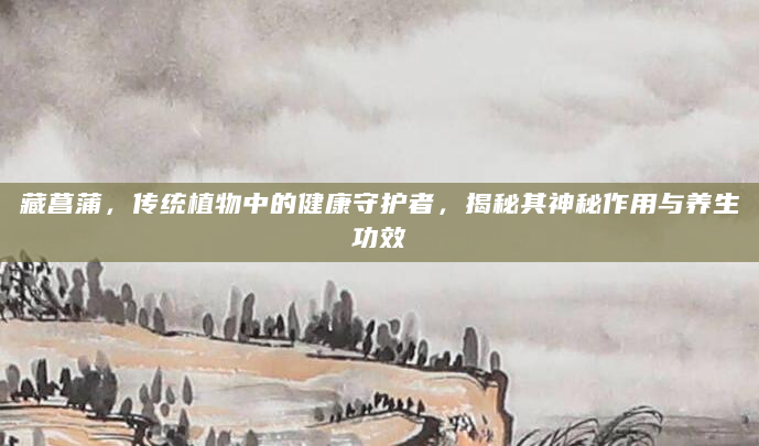 藏菖蒲，传统植物中的健康守护者，揭秘其神秘作用与养生功效