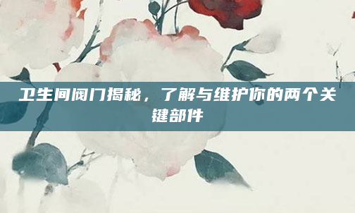 卫生间阀门揭秘，了解与维护你的两个关键部件