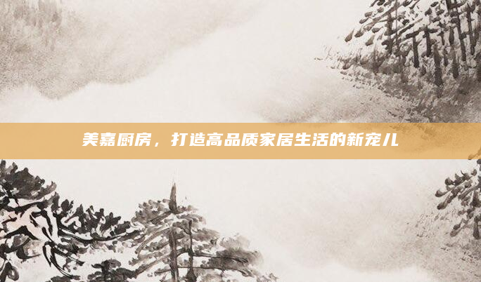 美嘉厨房，打造高品质家居生活的新宠儿