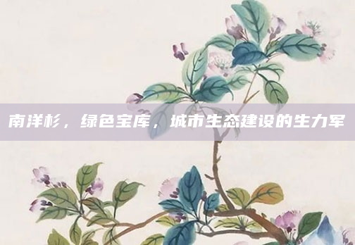 南洋杉，绿色宝库，城市生态建设的生力军