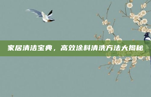 家居清洁宝典，高效涂料清洗方法大揭秘