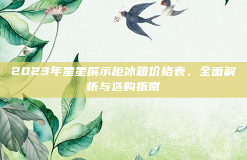 2023年星星展示柜冰箱价格表，全面解析与选购指南