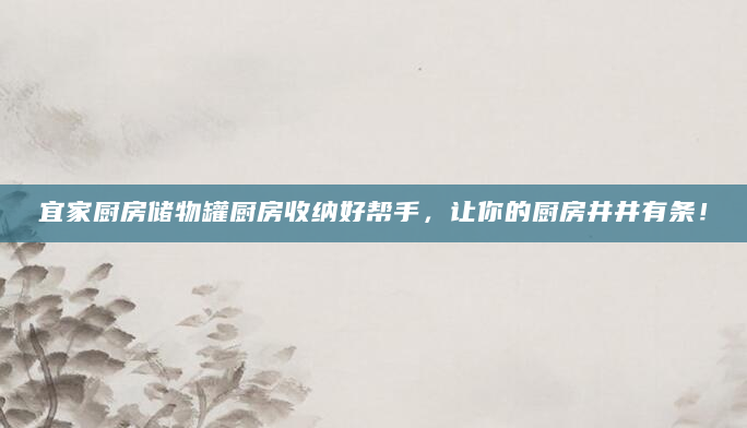 宜家厨房储物罐厨房收纳好帮手，让你的厨房井井有条！
