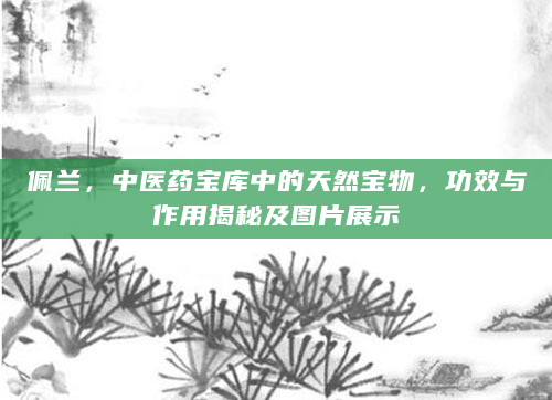 佩兰，中医药宝库中的天然宝物，功效与作用揭秘及图片展示