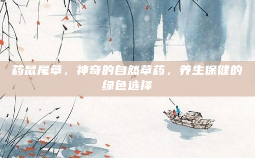 药鼠尾草，神奇的自然草药，养生保健的绿色选择
