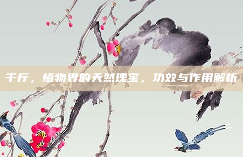 千斤，植物界的天然瑰宝，功效与作用解析