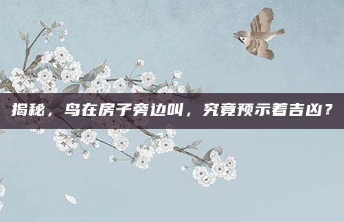 揭秘，鸟在房子旁边叫，究竟预示着吉凶？