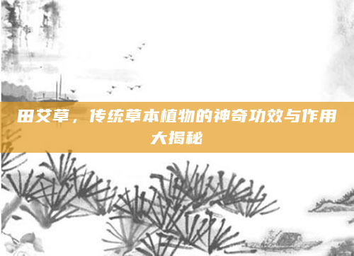 田艾草，传统草本植物的神奇功效与作用大揭秘