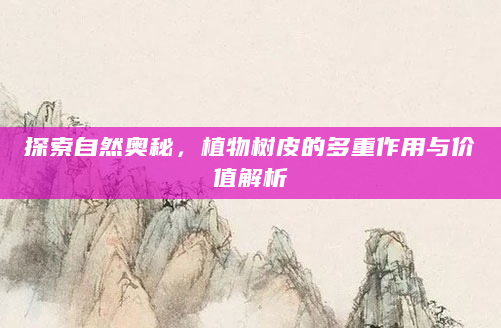 探索自然奥秘，植物树皮的多重作用与价值解析