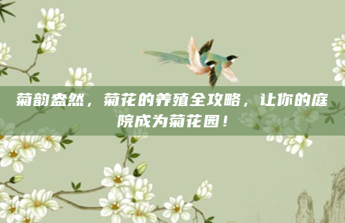 菊韵盎然，菊花的养殖全攻略，让你的庭院成为菊花园！