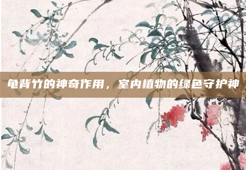 龟背竹的神奇作用，室内植物的绿色守护神