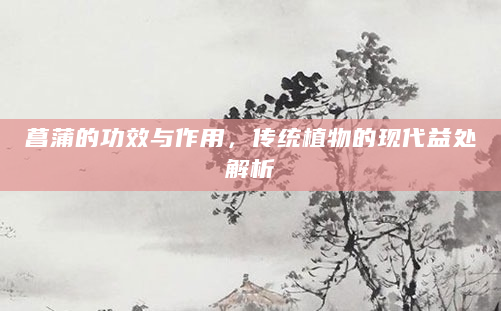 菖蒲的功效与作用，传统植物的现代益处解析