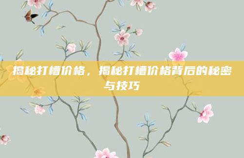 揭秘打槽价格，揭秘打槽价格背后的秘密与技巧