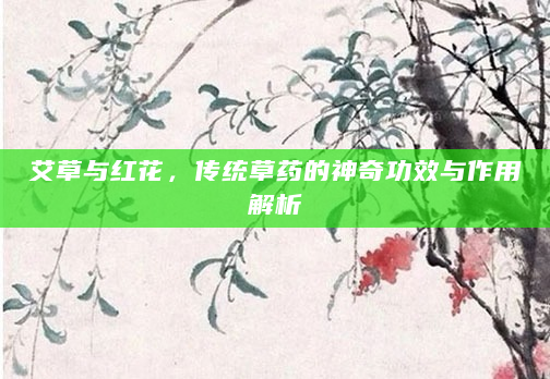 艾草与红花，传统草药的神奇功效与作用解析