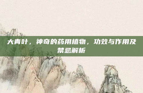 大青叶，神奇的药用植物，功效与作用及禁忌解析
