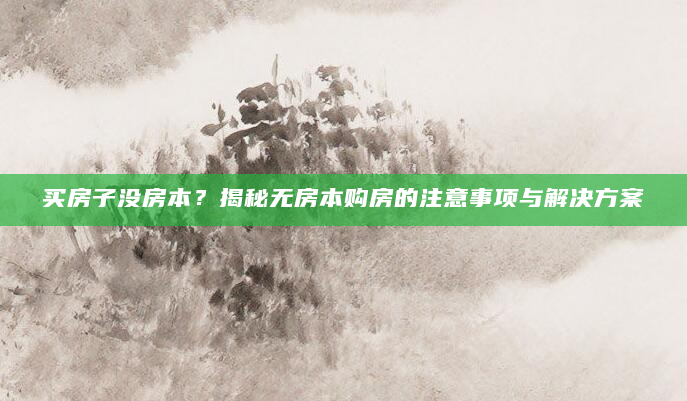买房子没房本？揭秘无房本购房的注意事项与解决方案