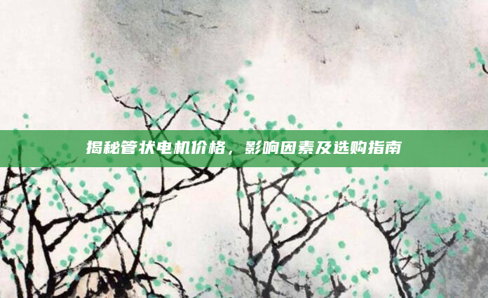 揭秘管状电机价格，影响因素及选购指南