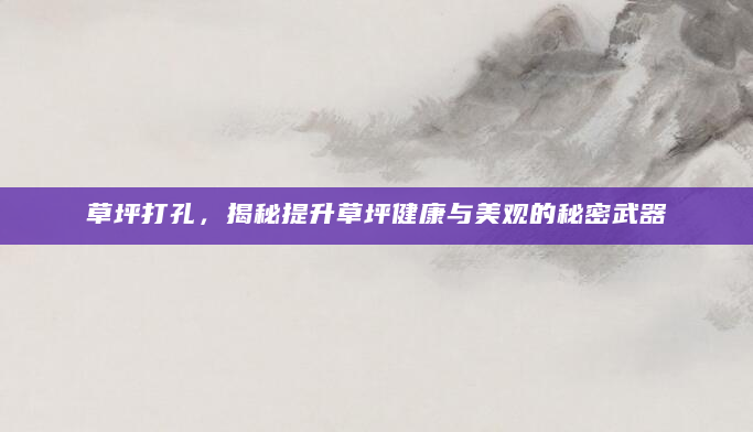 草坪打孔，揭秘提升草坪健康与美观的秘密武器