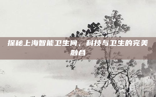 探秘上海智能卫生间，科技与卫生的完美融合