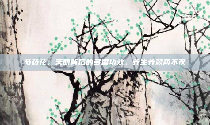 芍药花，美丽背后的多重功效，养生养颜两不误