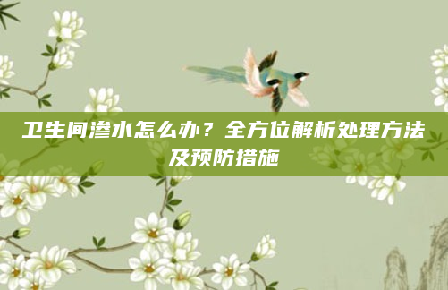 卫生间渗水怎么办？全方位解析处理方法及预防措施