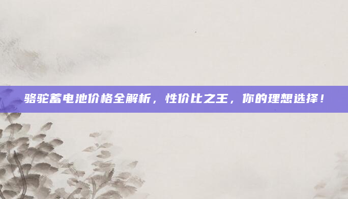 骆驼蓄电池价格全解析，性价比之王，你的理想选择！