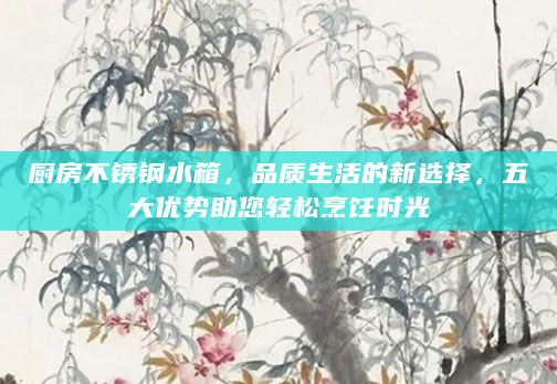 厨房不锈钢水箱，品质生活的新选择，五大优势助您轻松烹饪时光