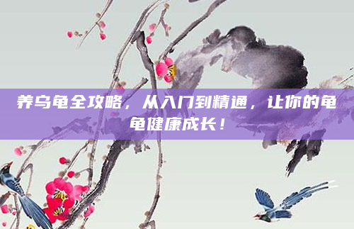 养乌龟全攻略，从入门到精通，让你的龟龟健康成长！