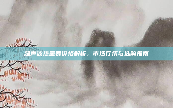 超声波热量表价格解析，市场行情与选购指南