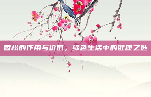 香松的作用与价值，绿色生活中的健康之选