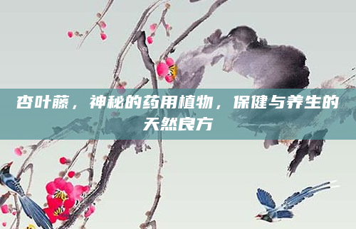 杏叶藤，神秘的药用植物，保健与养生的天然良方