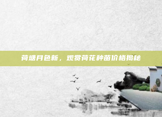 荷塘月色新，观赏荷花种苗价格揭秘