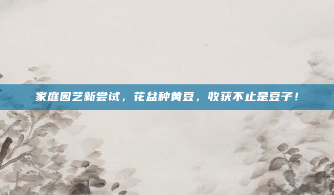 家庭园艺新尝试，花盆种黄豆，收获不止是豆子！