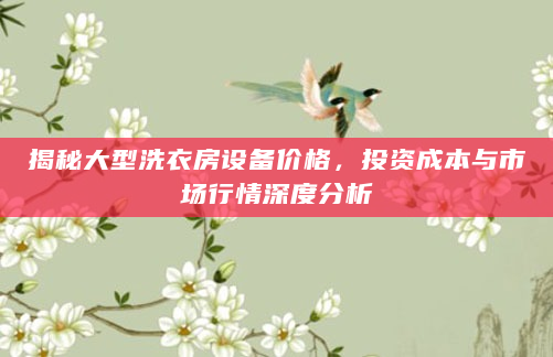 揭秘大型洗衣房设备价格，投资成本与市场行情深度分析