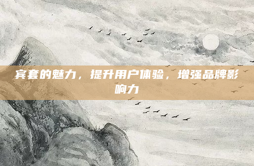宾套的魅力，提升用户体验，增强品牌影响力