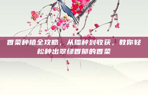 香菜种植全攻略，从播种到收获，教你轻松种出翠绿香郁的香菜