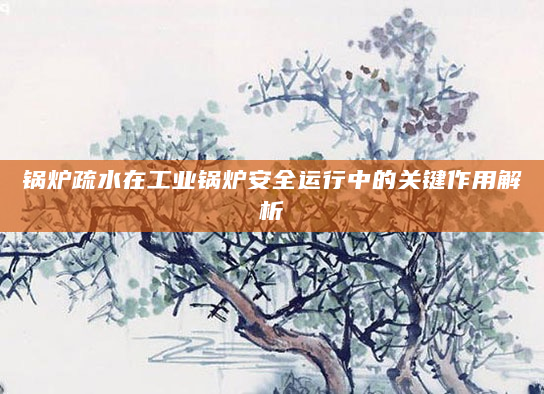 锅炉疏水在工业锅炉安全运行中的关键作用解析