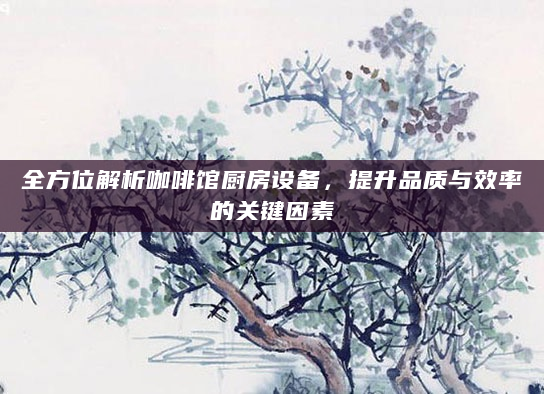 全方位解析咖啡馆厨房设备，提升品质与效率的关键因素