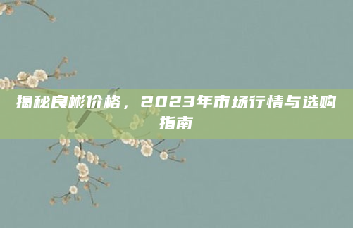 揭秘良彬价格，2023年市场行情与选购指南