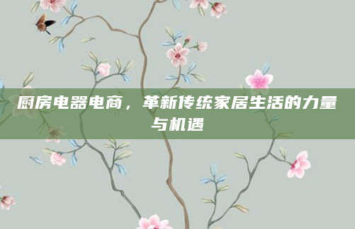 厨房电器电商，革新传统家居生活的力量与机遇