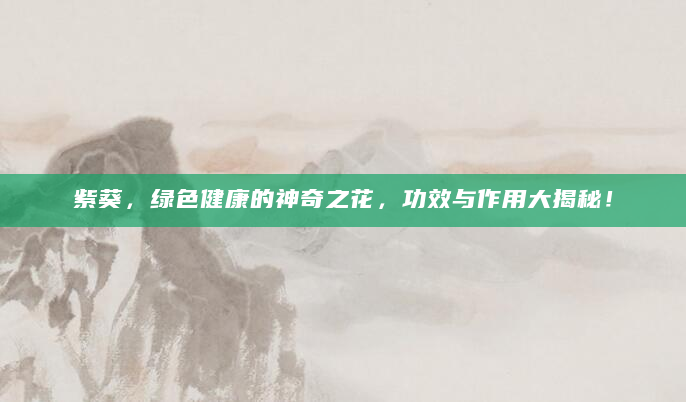 紫葵，绿色健康的神奇之花，功效与作用大揭秘！