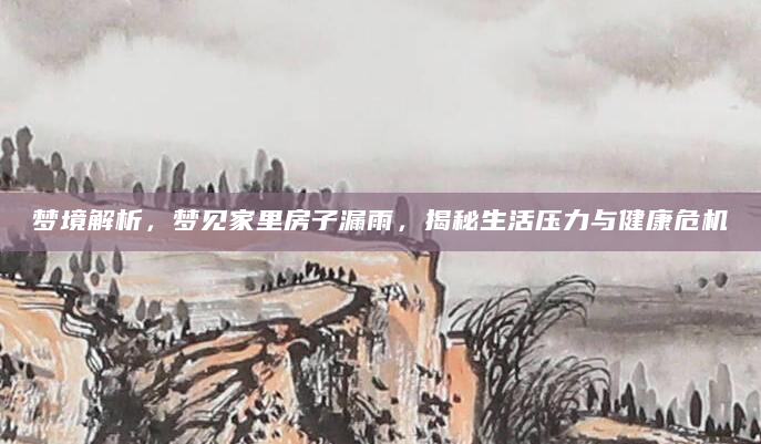 梦境解析，梦见家里房子漏雨，揭秘生活压力与健康危机