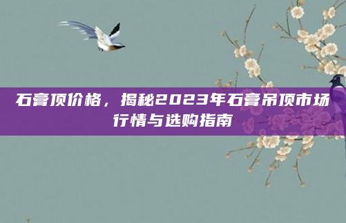 石膏顶价格，揭秘2023年石膏吊顶市场行情与选购指南