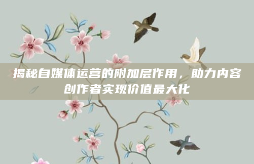 揭秘自媒体运营的附加层作用，助力内容创作者实现价值最大化