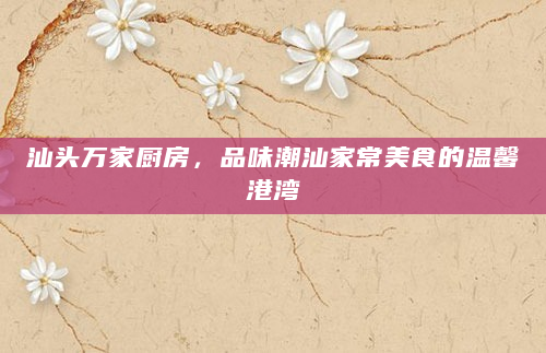 汕头万家厨房，品味潮汕家常美食的温馨港湾
