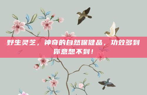 野生灵芝，神奇的自然保健品，功效多到你意想不到！