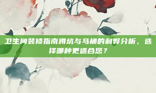 卫生间装修指南蹲坑与马桶的利弊分析，选择哪种更适合您？