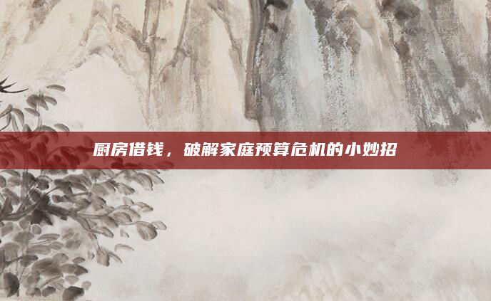 厨房借钱，破解家庭预算危机的小妙招