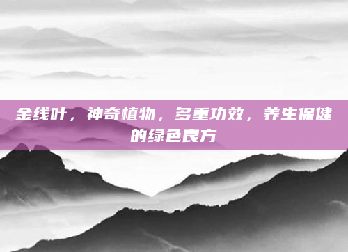 金线叶，神奇植物，多重功效，养生保健的绿色良方