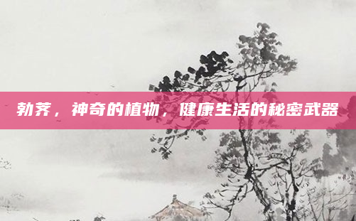 勃荠，神奇的植物，健康生活的秘密武器